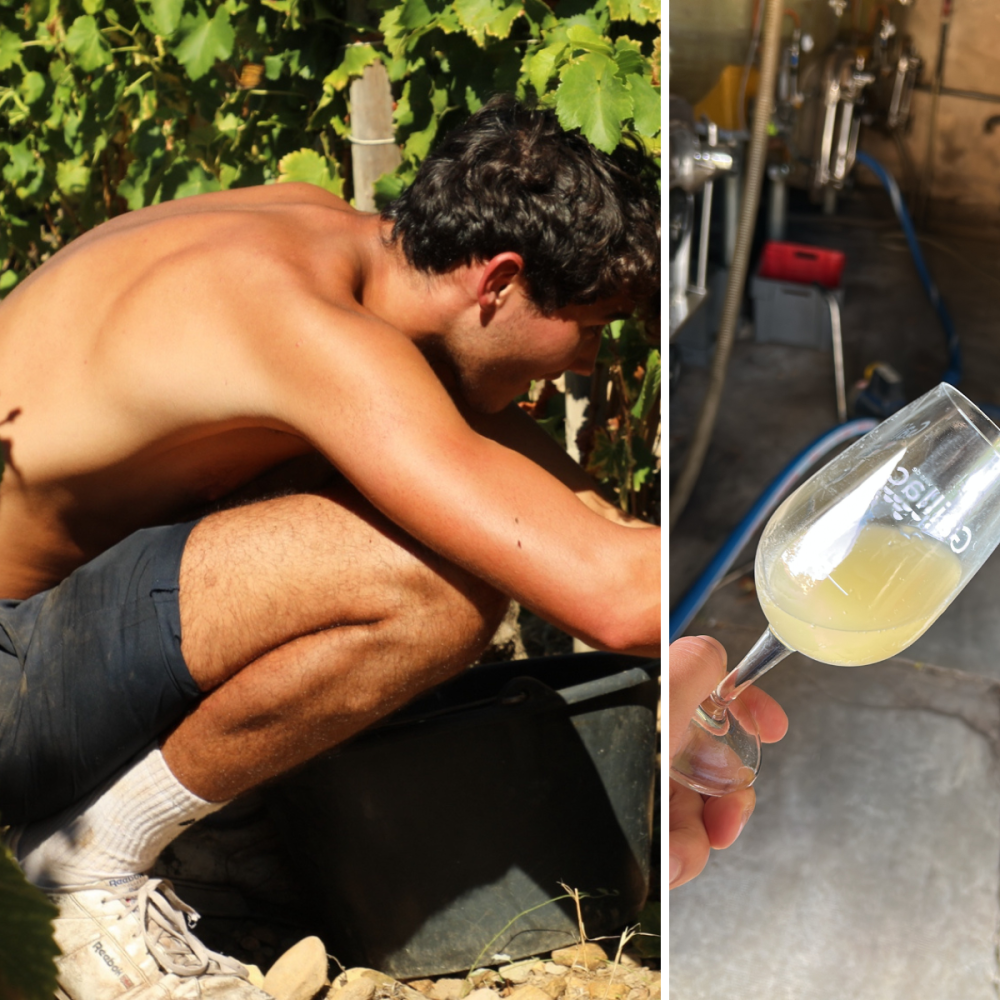 Contenu de l’article